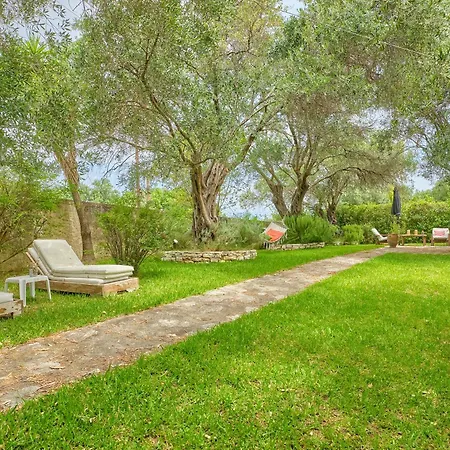 Gardens Αστρακερή